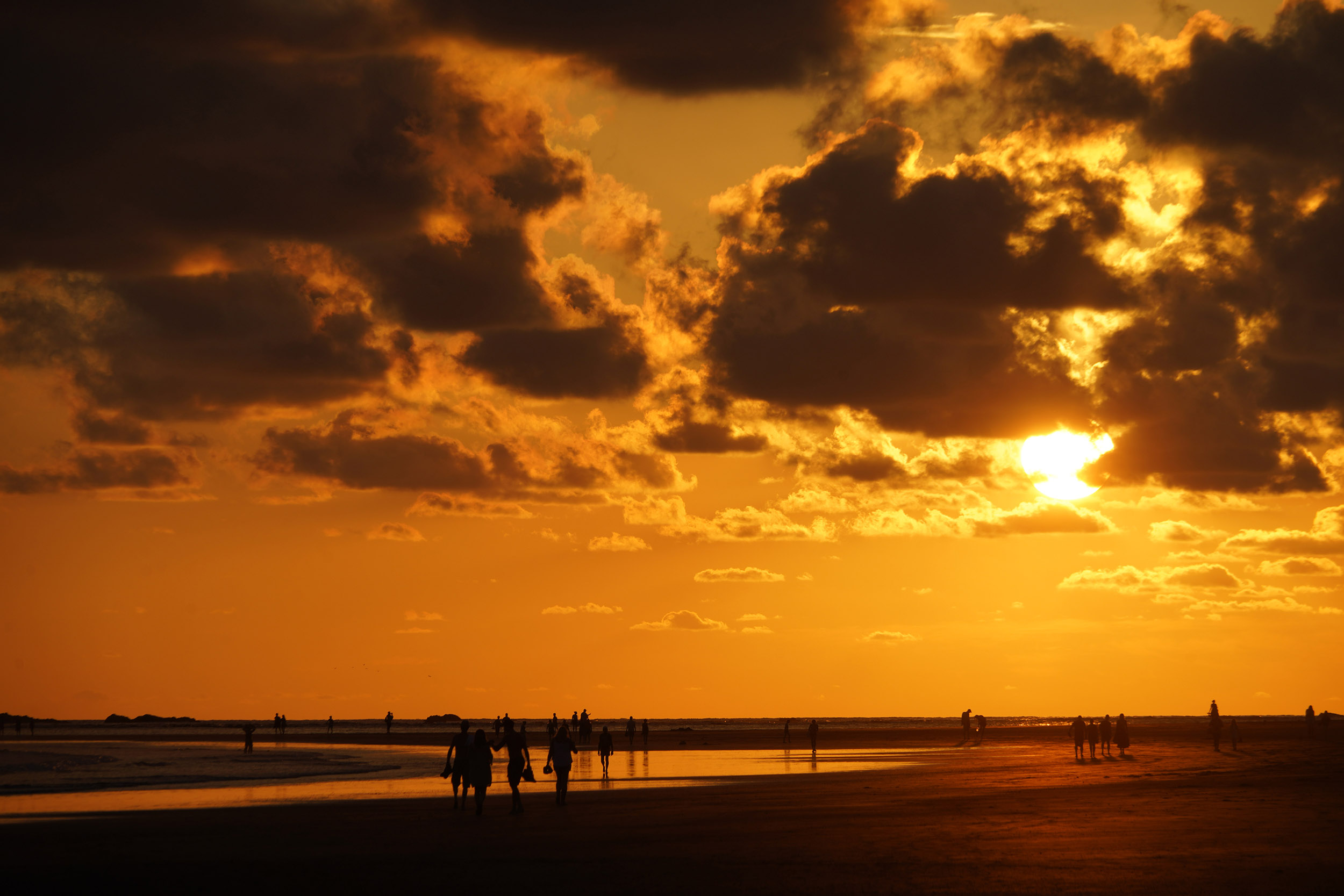 Costa Rica - Février 2025